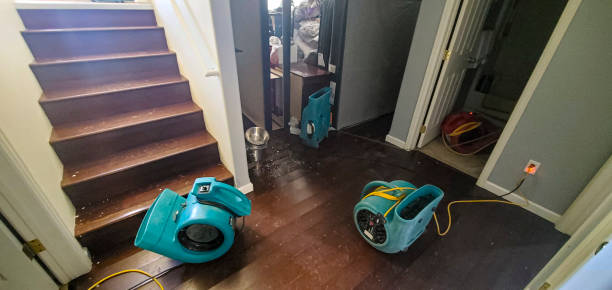 Best Residential water damage restoration  in Pemberwick, CT