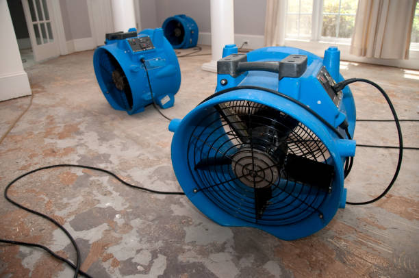  Pemberwick, CT Water damage restoration Pros