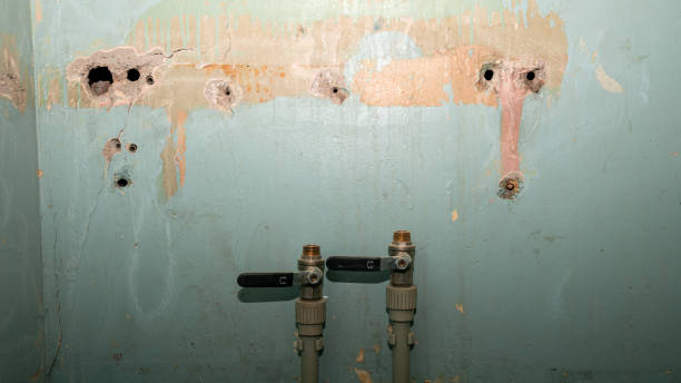 Best Sewage cleanup and water damage restoration  in Pemberwick, CT