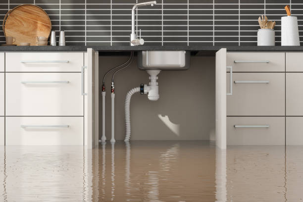 Best Water damage restoration near me  in Pemberwick, CT