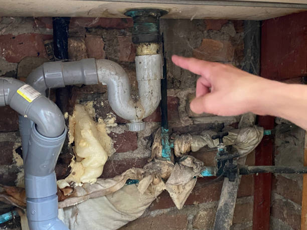Best Basement water damage restoration  in Pemberwick, CT