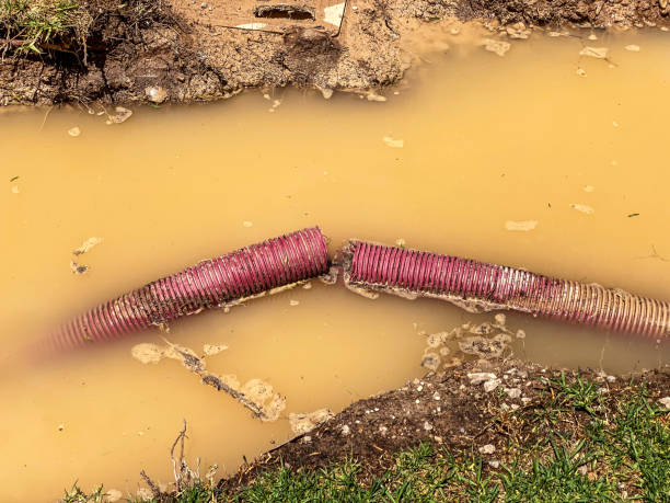 Best Flood damage cleanup  in Pemberwick, CT