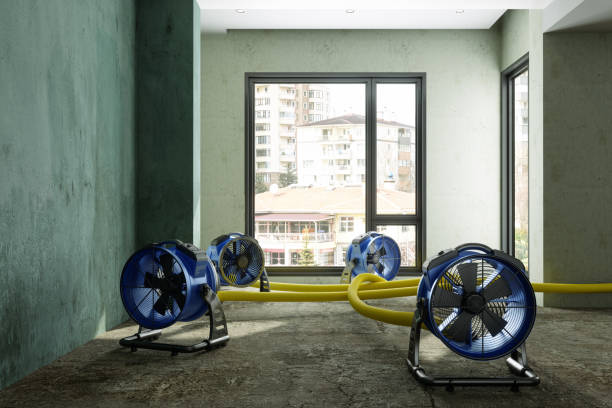 Best Commercial water damage restoration  in Pemberwick, CT