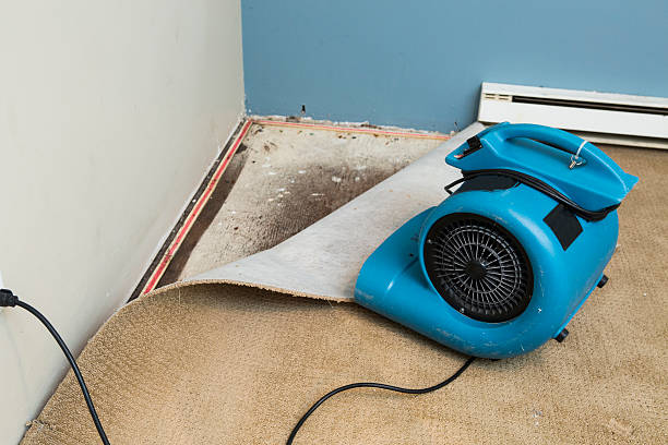 Best Water damage restoration near me  in Pemberwick, CT